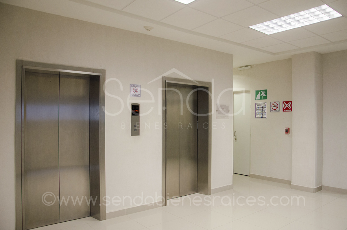 1465-41388-elevadores.jpg