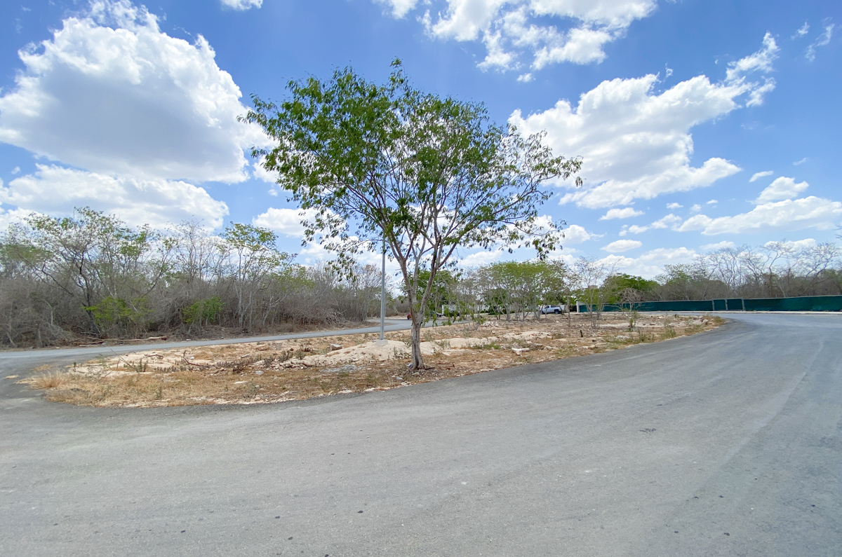 1558-44597-Terreno-en-Venta-en-Conkal-Yucatan-sobre-avenida_(1).jpg
