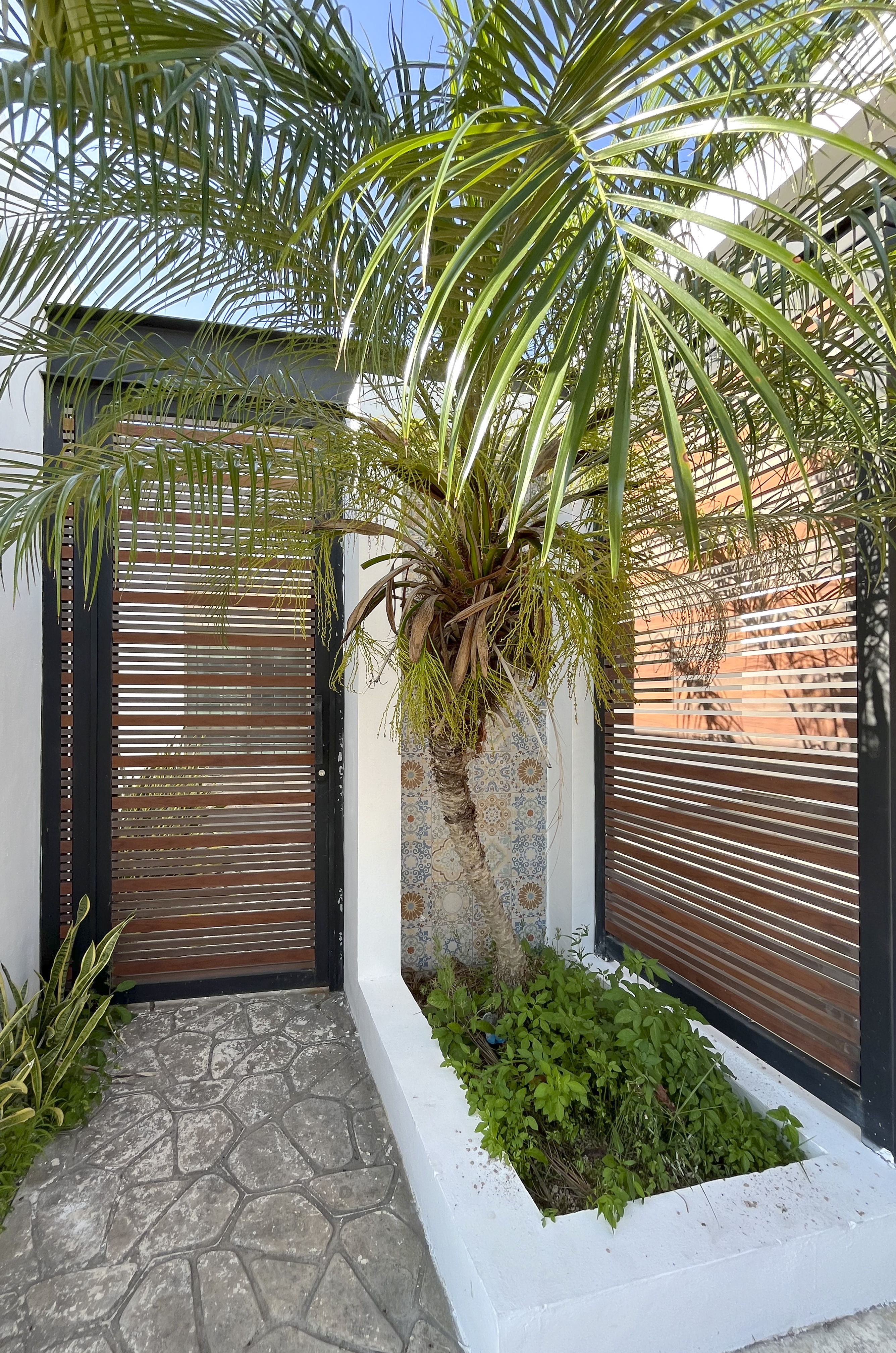 1819-50111-Casa-en-renta-Americas-II-de-una-planta-con-2-recamaras_(11).jpg