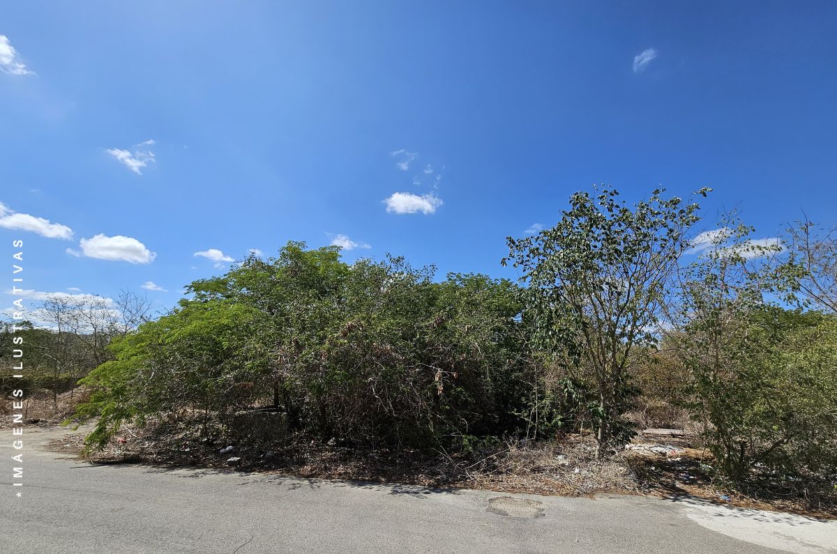 1906-51932-Terreno-en-venta-en-Dzitya-Merida-en-esquina-urbanizado_(4).jpg