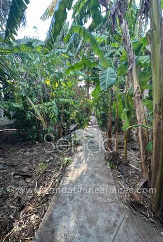 1344-38471-Casa-en-Venta-en-el-Centro-de-Merida-calle-46-para-remodelar-4.jpg