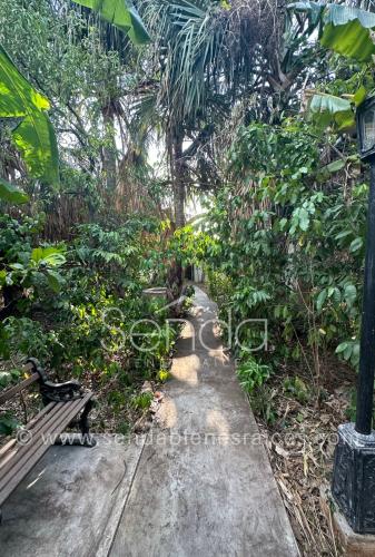 1344-38474-Casa-en-Venta-en-el-Centro-de-Merida-calle-46-para-remodelar-5.jpg