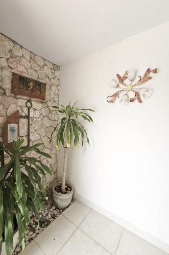 1755-48962-Casa-en-Venta-en-Conkal-Merida-Privada-Canarias-de-una-planta_(2).jpg