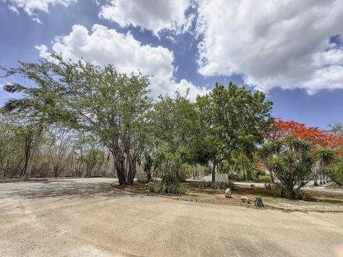 1780-49436-Terreno-en-venta-de-2000-metros-cuadrados-en-el-norte-de-Merida-Phula-Dzidzilche_(5).jpg