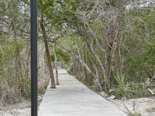 1780-49442-Terreno-en-venta-de-2000-metros-cuadrados-en-el-norte-de-Merida-Phula-Dzidzilche_(11).jpg