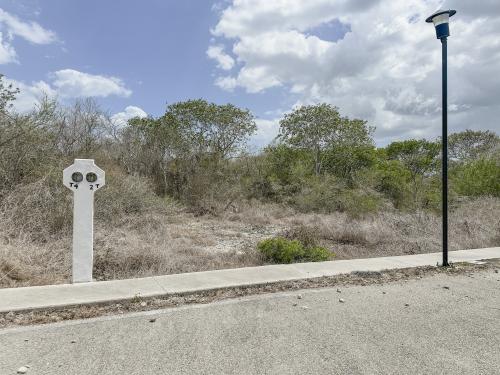 1780-49445-Terreno-en-venta-de-2000-metros-cuadrados-en-el-norte-de-Merida-Phula-Dzidzilche_(15).jpg