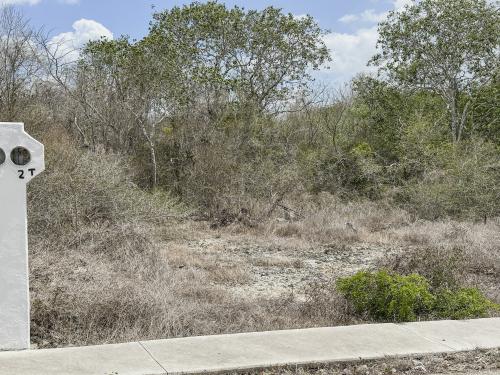1780-49446-Terreno-en-venta-de-2000-metros-cuadrados-en-el-norte-de-Merida-Phula-Dzidzilche_(14).jpg