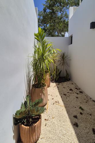 1869-53905-Casa-en-venta-Conkal-Merida-de-una-planta-con-dos-habitaciones_(22).jpg