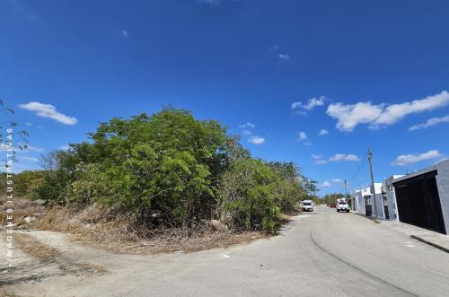 1906-51930-Terreno-en-venta-en-Dzitya-Merida-en-esquina-urbanizado_(3).jpg