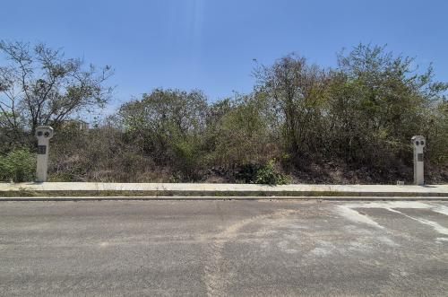 1942-52999-Lotes-Residenciales-en-Venta-en-Privada-Ciudad-Central-con-amenidades_(2).jpg