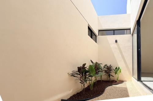 1960-53241-_Casa-Kalau-en-venta-ubicada-en-Dzitya-Merida-con-tres-recamaras-y-gran-terreno_(29).jpg