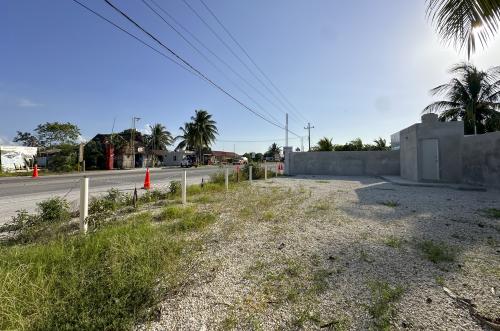 2004-54410-Terreno-en-Renta-en-la-Playa-en-la-zona-comercial-carretera-Chichxulub-Puerto_(13).jpg
