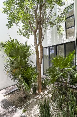 832-49489-Casa-en-venta-en-Compostela-Merida-de-4-habitaciones-con-un-increible-diseno_(31).jpg